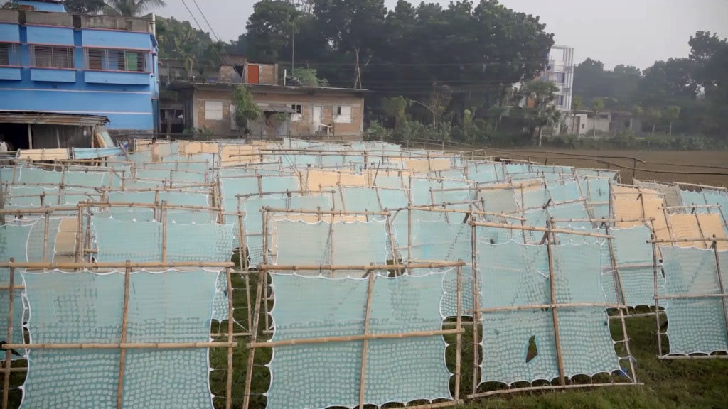 Jhenidah_bori_03_20251230_134700399 Jhenidah_bori_03_20251230_134700399