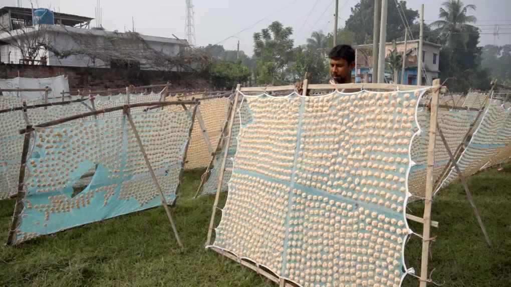 Jhenidha_bori_02_20251230_134947110 Jhenidha_bori_02_20251230_134947110