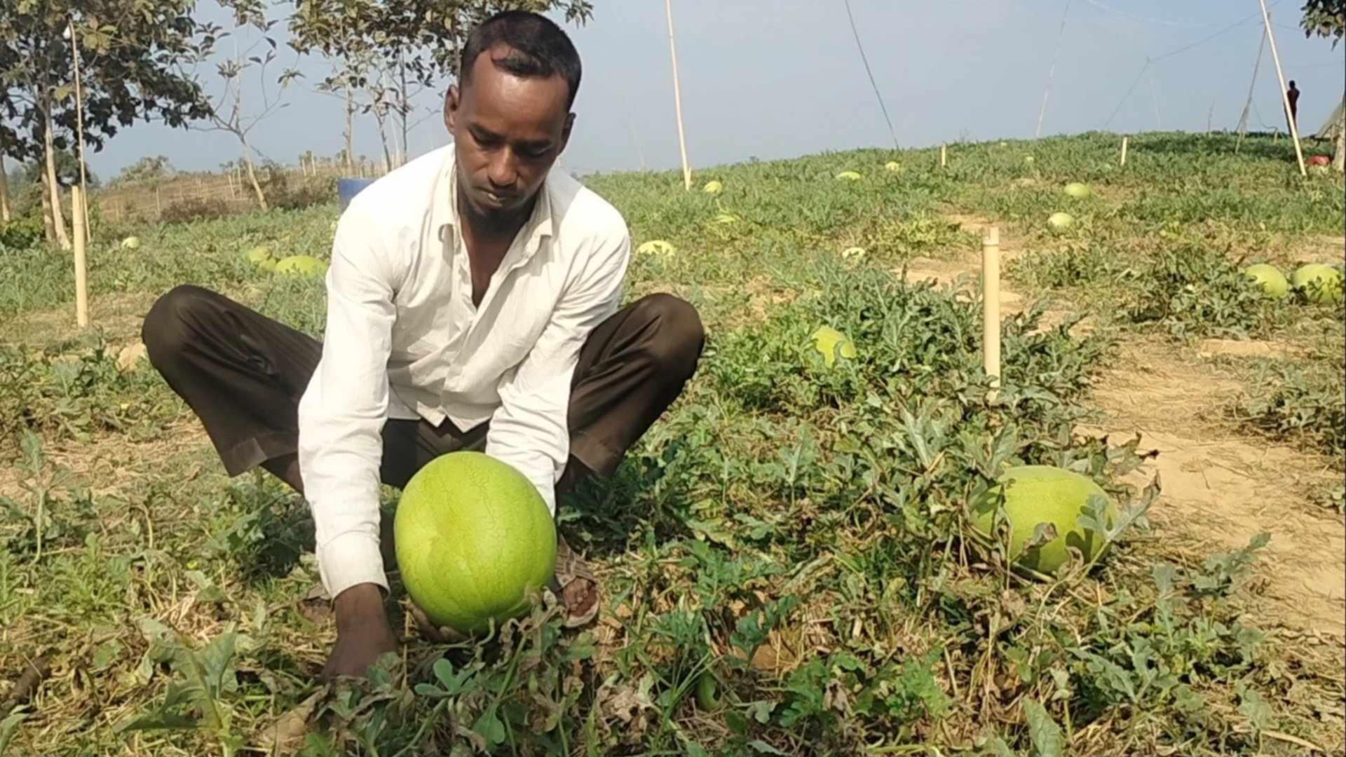 Messenger_creation_78AA99EB-7A48-423F-AA9B-D54536E1F9C7 Messenger_creation_78AA99EB-7A48-423F-AA9B-D54536E1F9C7