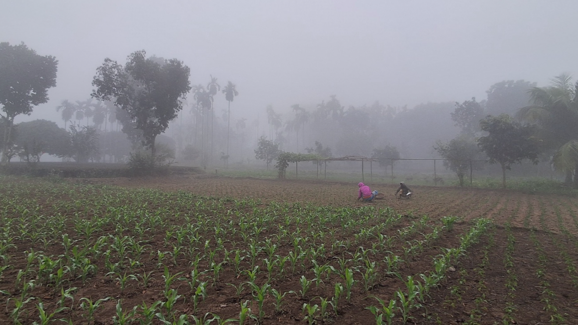 পঞ্চগড়ে কমেনি শীতের তীব্রতা, বিপাকে নিম্ন আয়ের মানুষ