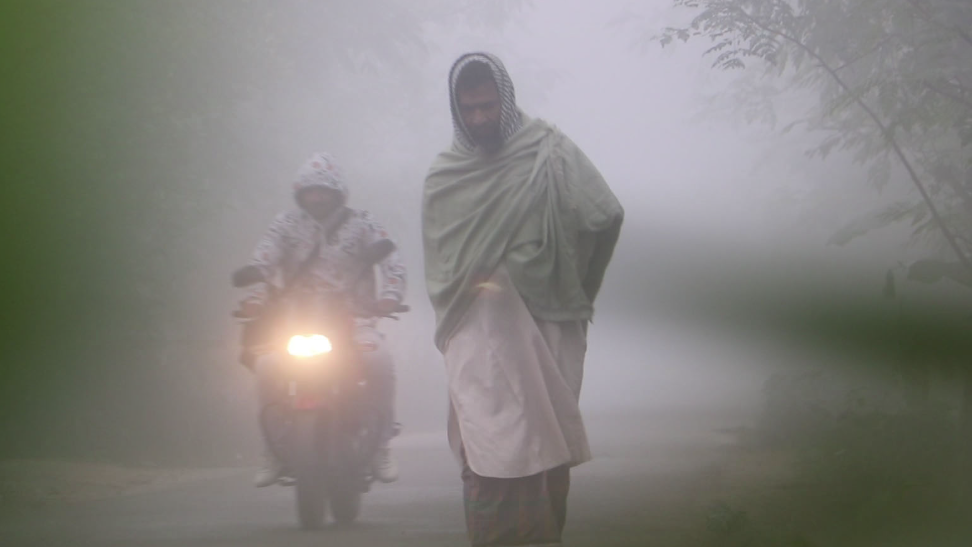 নওগাঁয় দেখা নেই সূর্যের, বৃষ্টির মতো ঝরছে শিশির