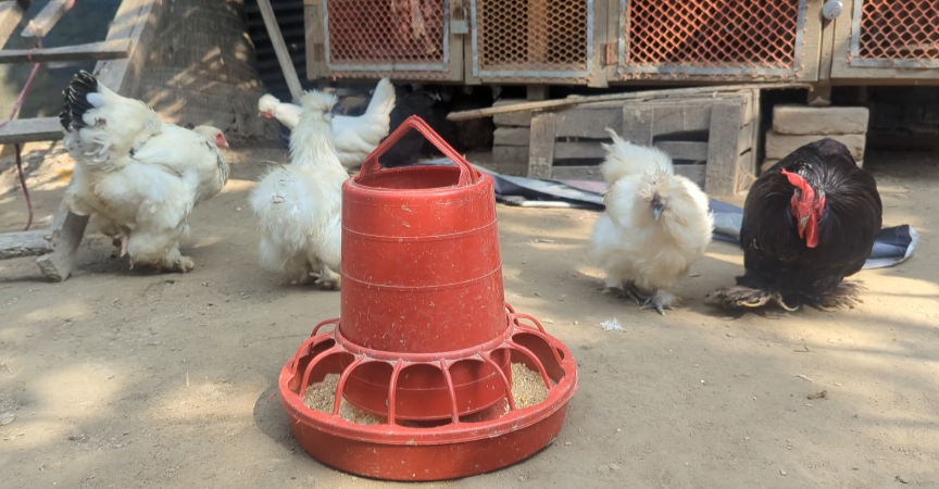 Screenshot_20250113-105506