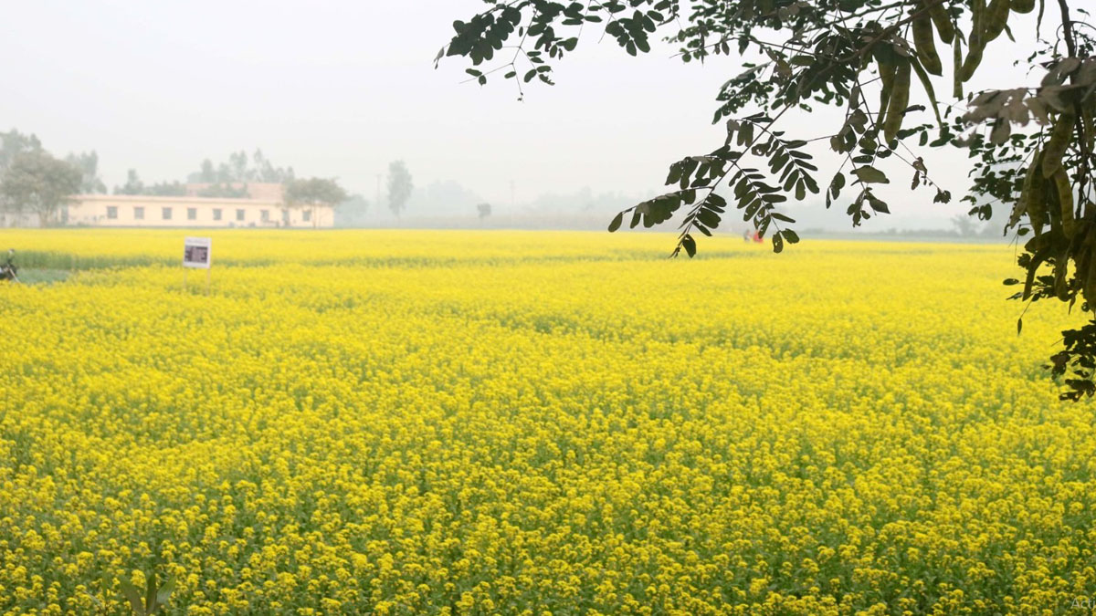 Onalardan ogzaki jinsiy aloqa va kunnilingusni aks ettiruvchi porno tomosha qiling.