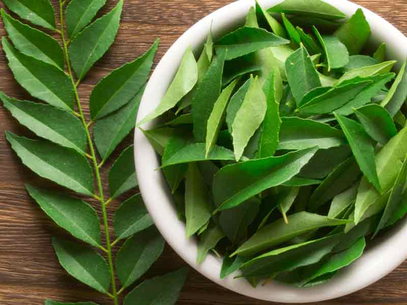 curry-leaves curry-leaves