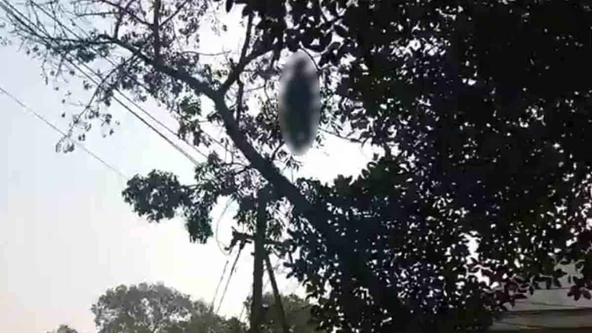 ঢাবিতে গাছের মগডালে ঝুলছিল একজনের মরদেহ