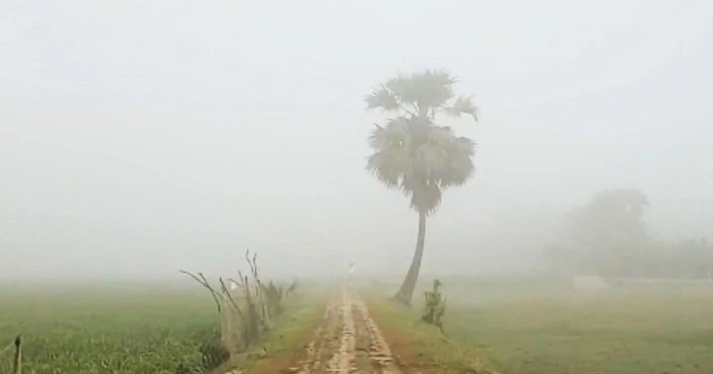 fog1 fog1