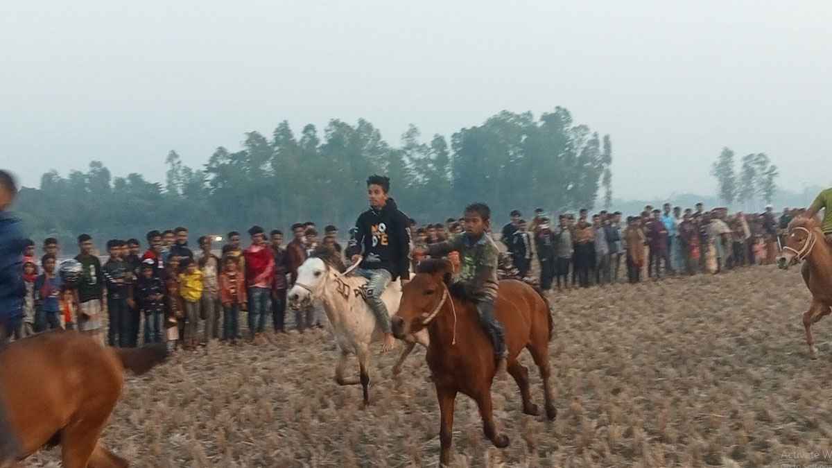 ঐতিহ্যবাহী ঘোড়দৌড়-পাতা খেলা দেখতে উৎসুক জনতার ভিড়