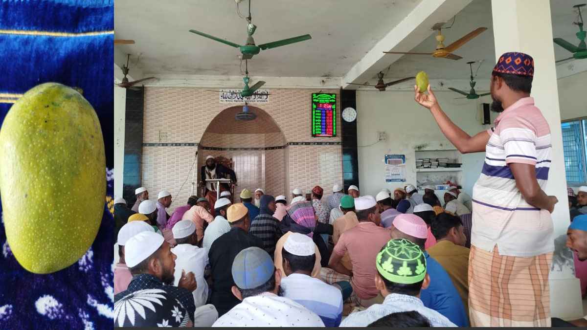 এক আম ১৬০০ টাকায় বিক্রি