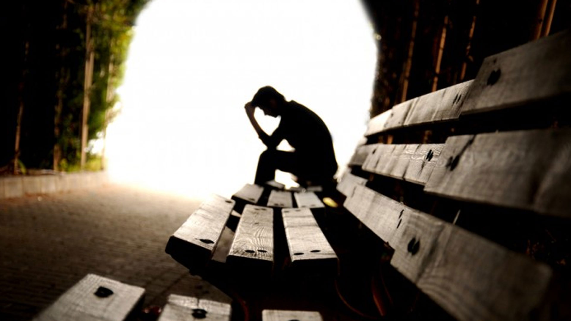 lonelyness5 lonelyness5