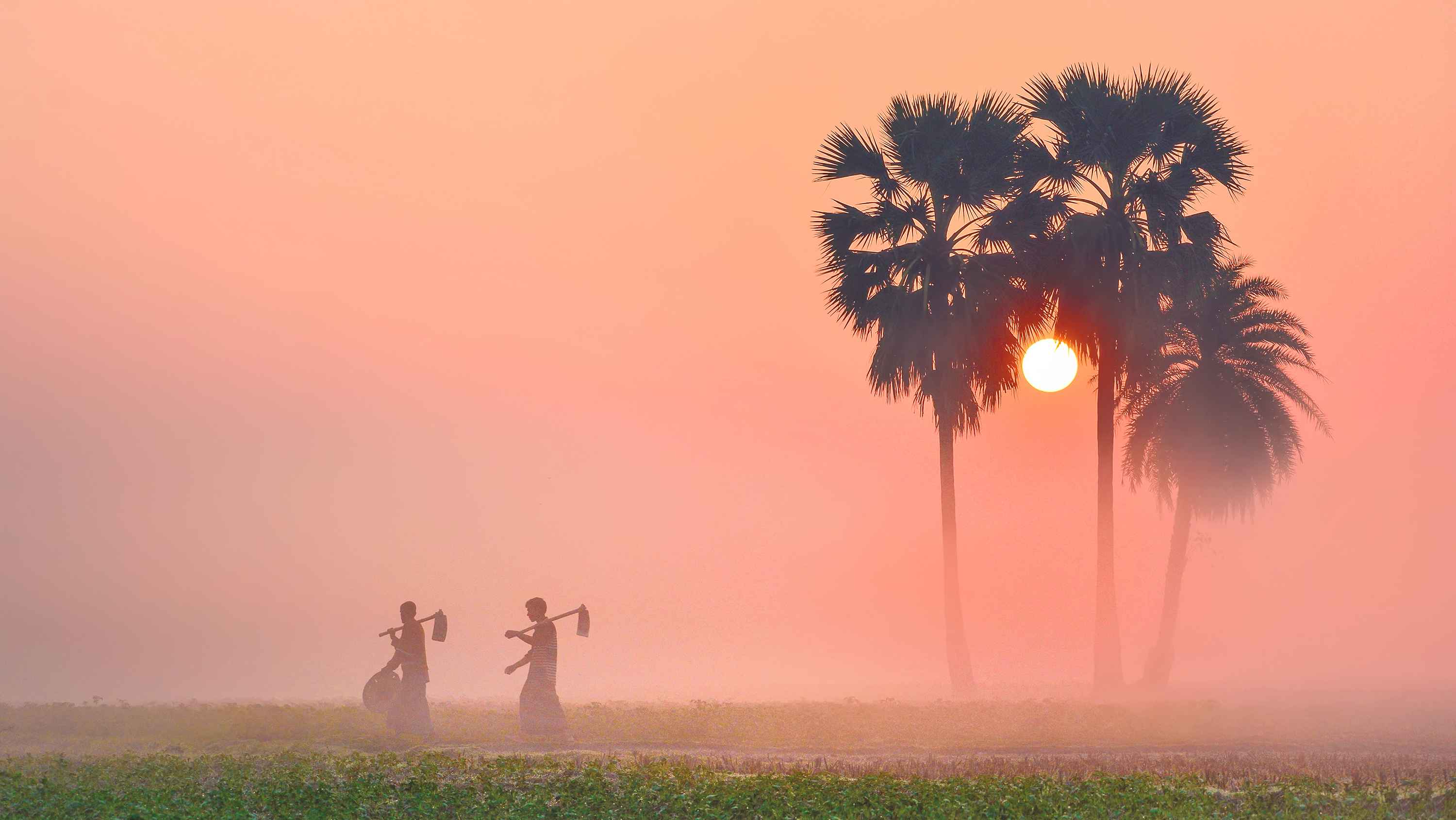 winter fog in Bangladesh