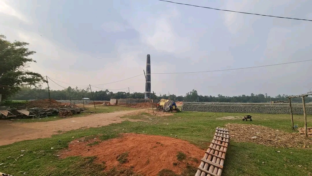 thumbnail_1736793016245