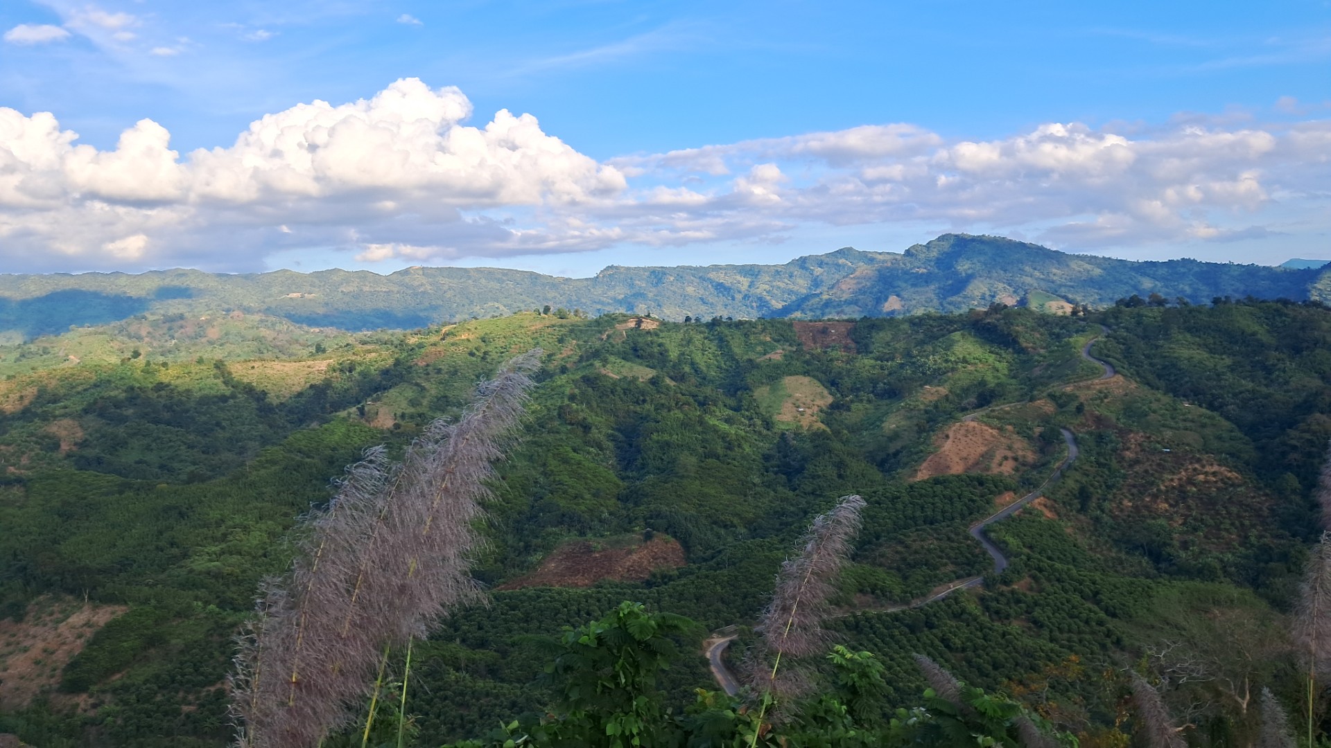 thumbnail_20241217_160152