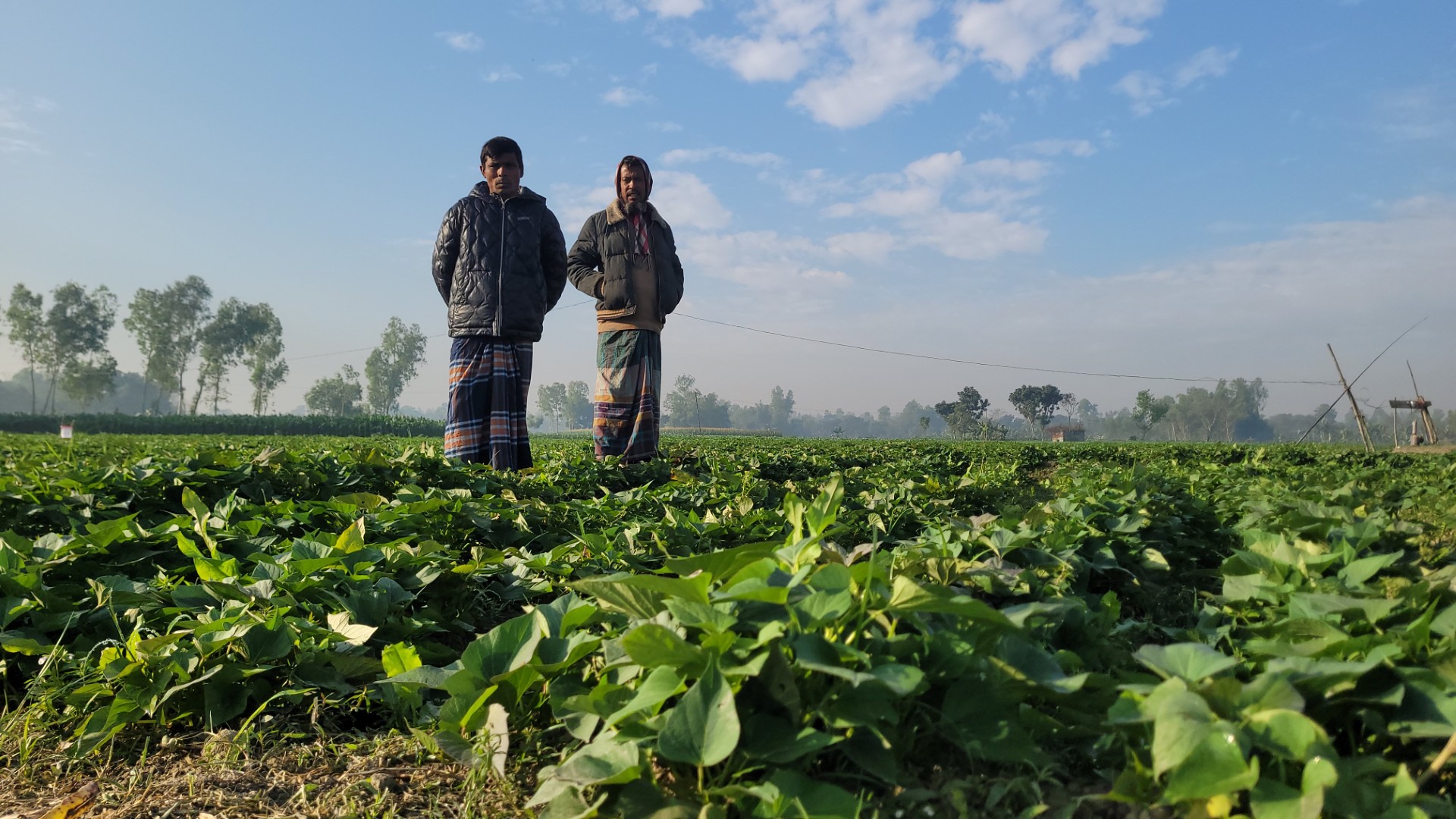 thumbnail_20250112_084333