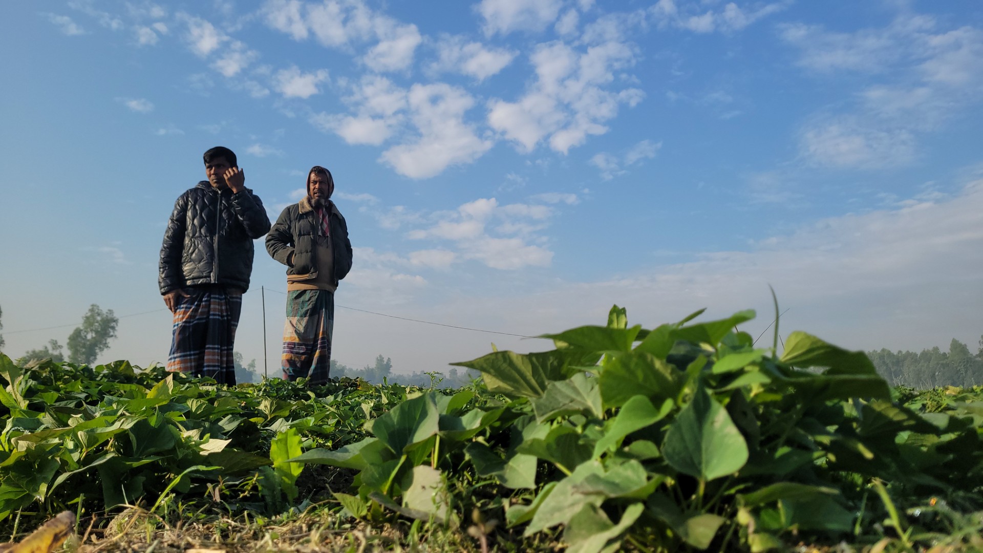 thumbnail_20250112_084354