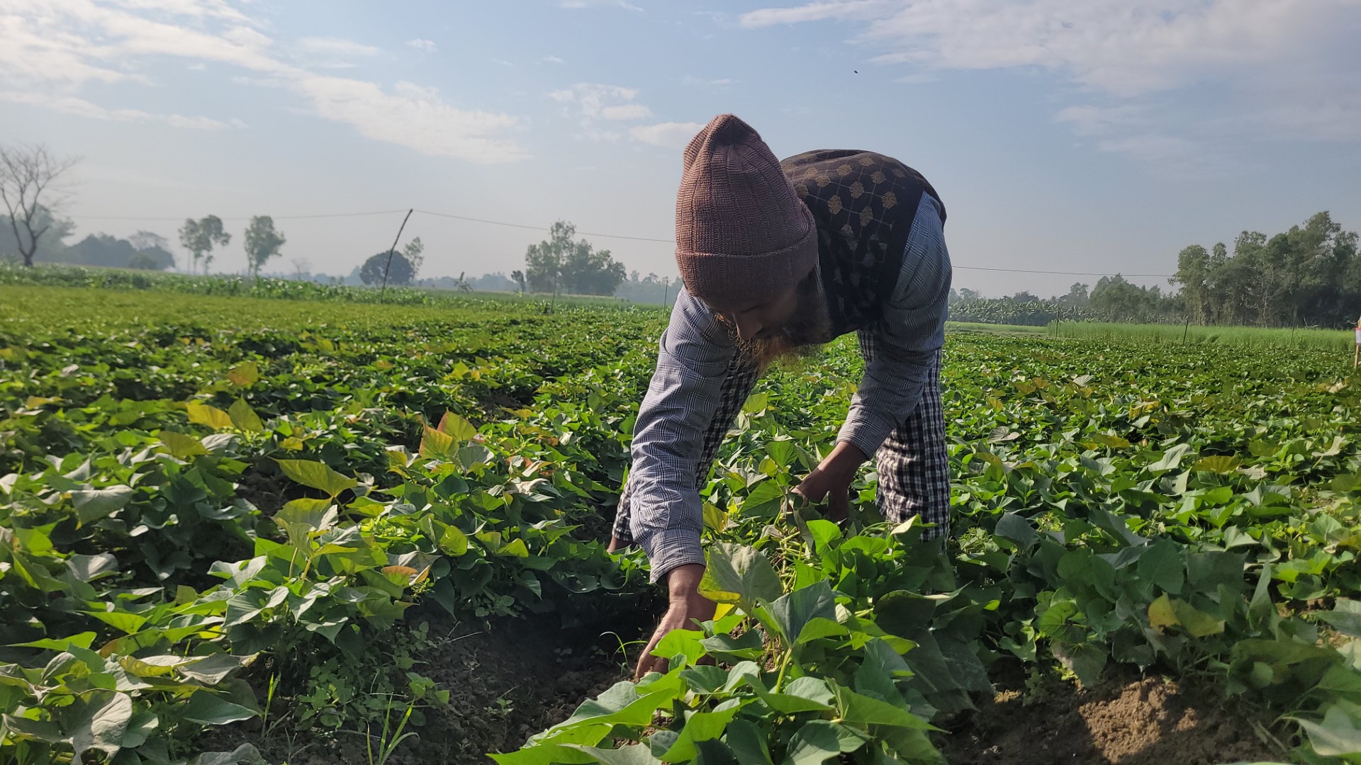 thumbnail_20250112_095342