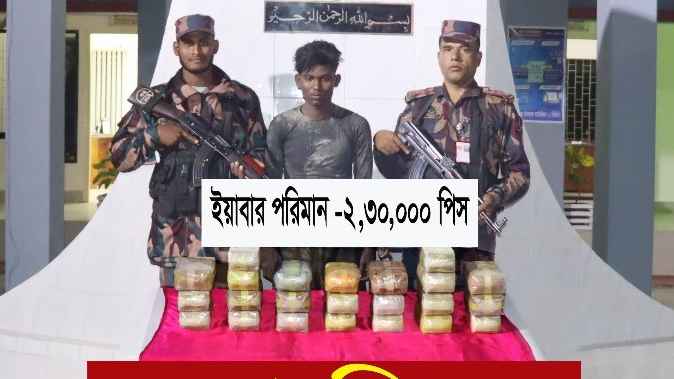 ২ লাখ ৩০ হাজার ইয়াবাসহ মিয়ানমারের নাগরিক গ্রেফতার