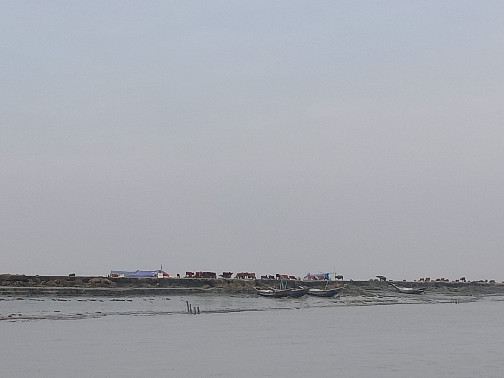 thumbnail_IMG20241217112408