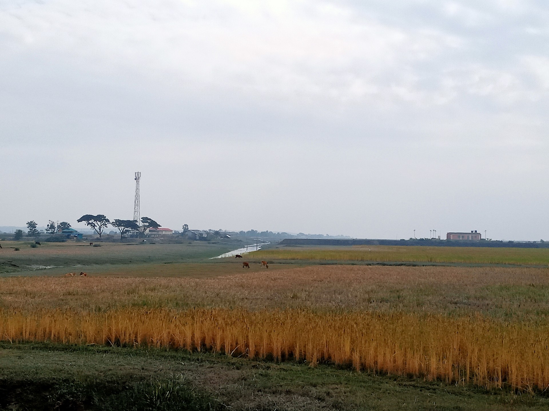 thumbnail_IMG20241217123919