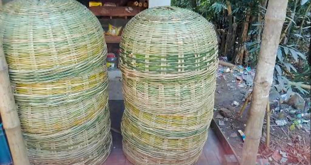 thumbnail_IMG_20250118_121435