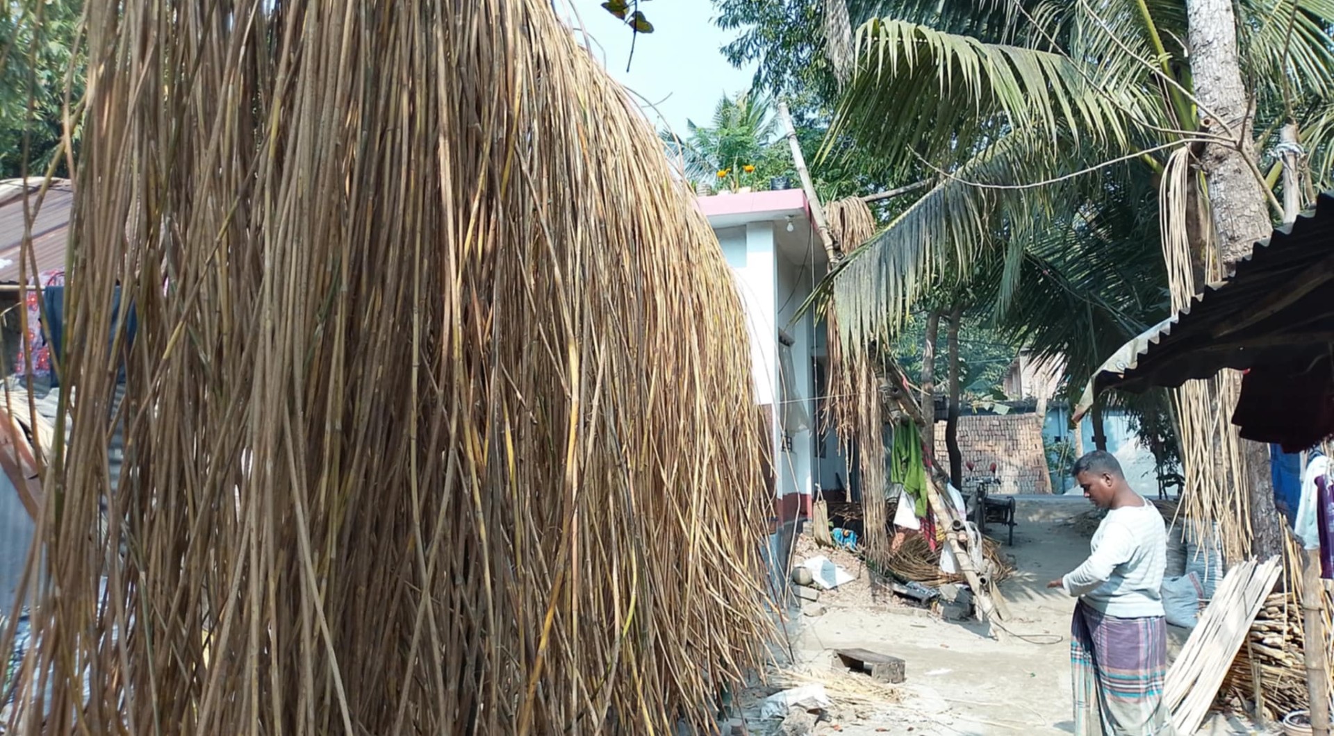 thumbnail_IMG_20250118_121457