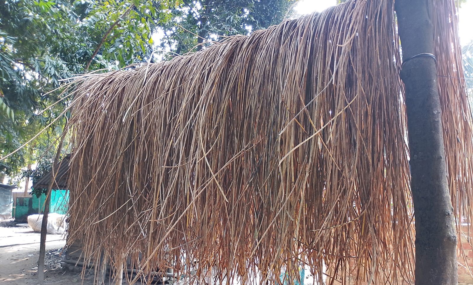 thumbnail_IMG_20250118_121642