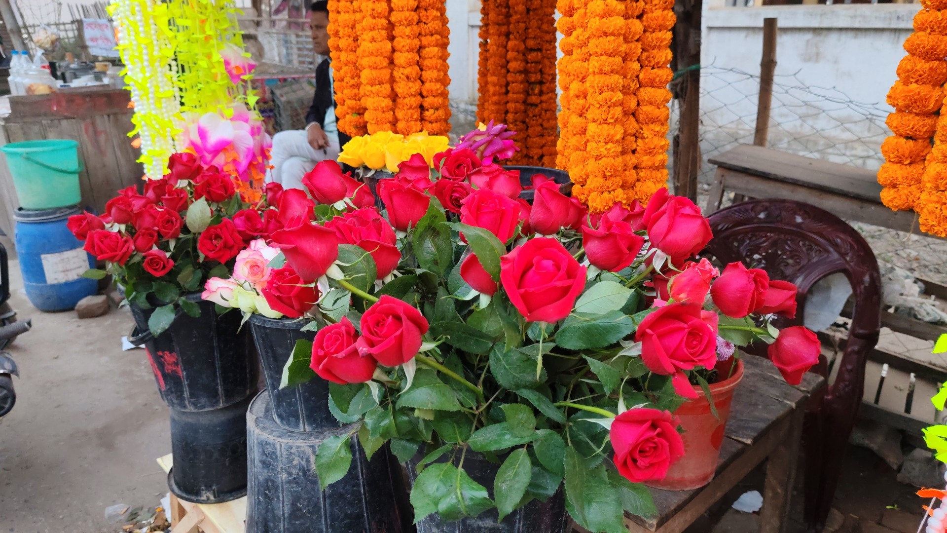 thumbnail_Rose_Cultivation-(2)