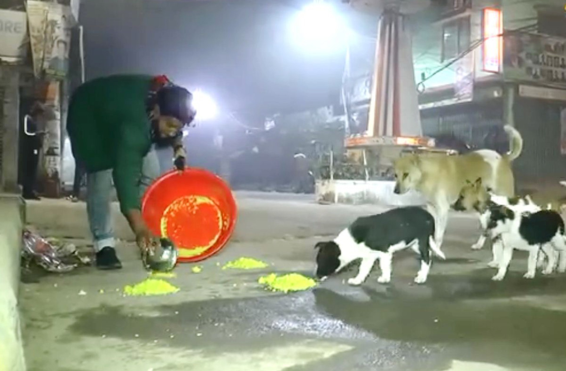 thumbnail_Sirajgonj_(dog)_Pic_(3)