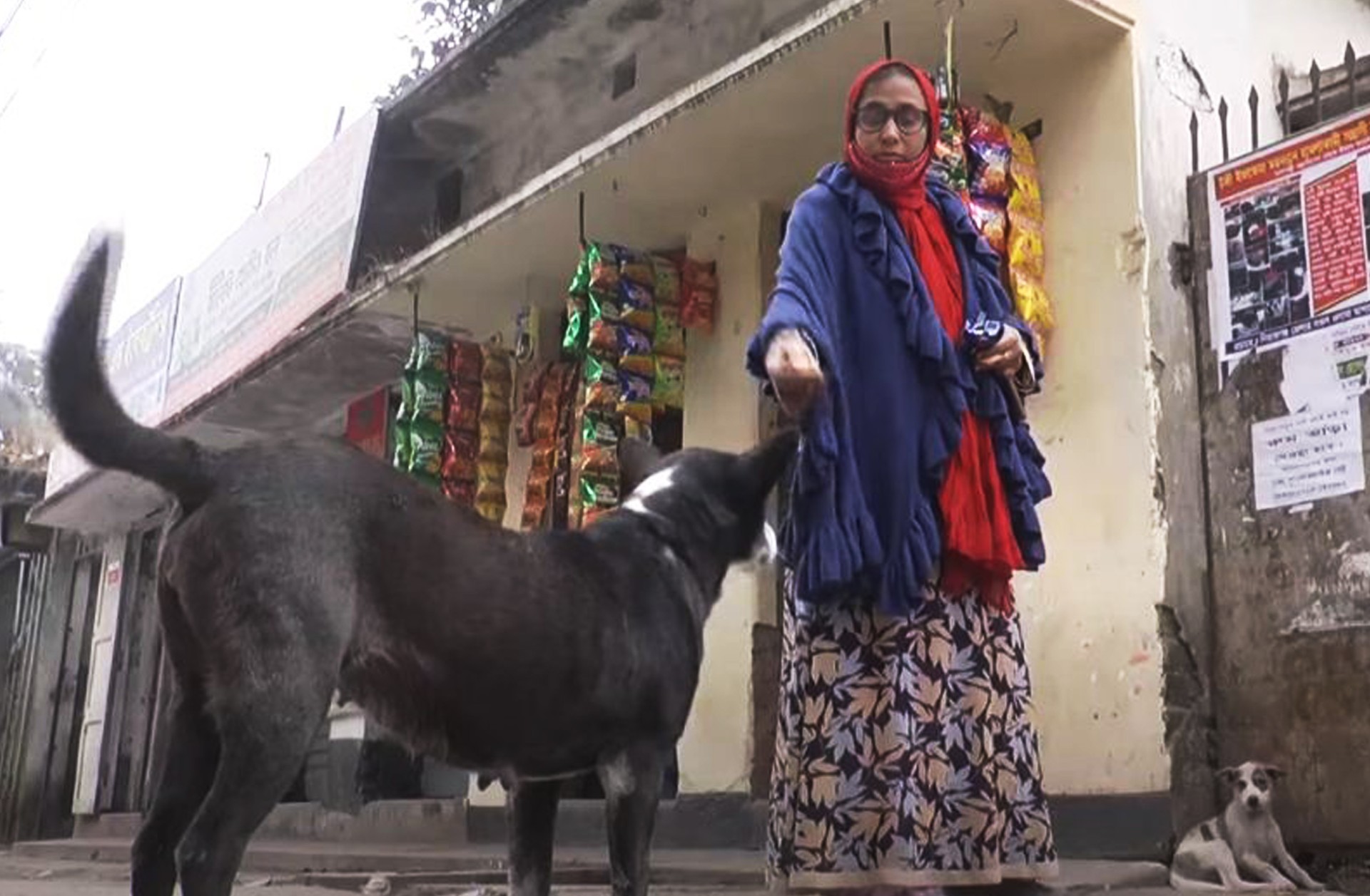 thumbnail_Sirajgonj_(dog)_Pic_(8)