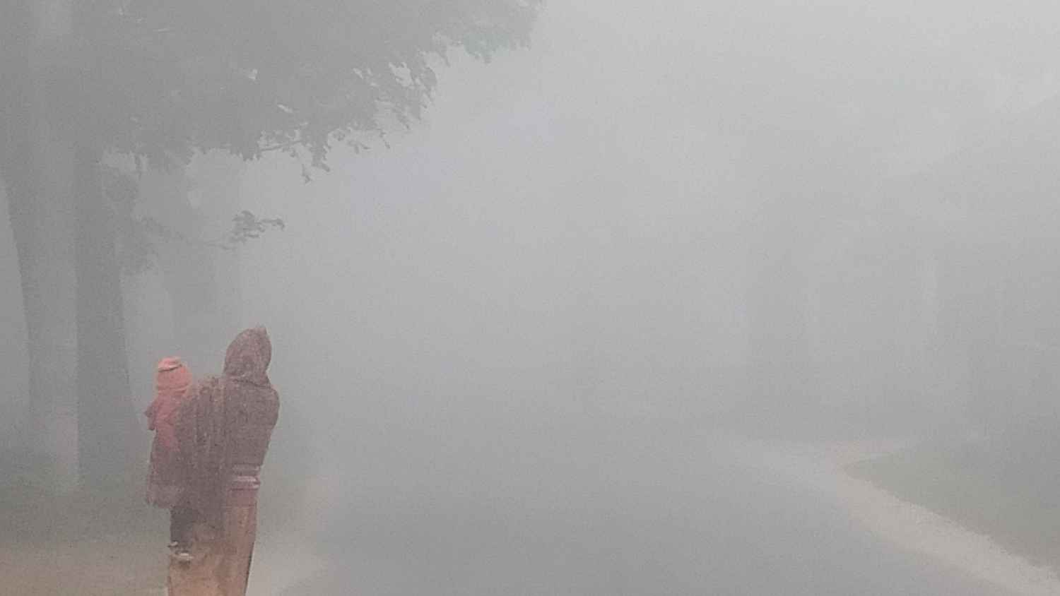 তাপমাত্রা ১১ ডিগ্রির ঘরে, শীতে কাঁপছে দিনাজপুর
