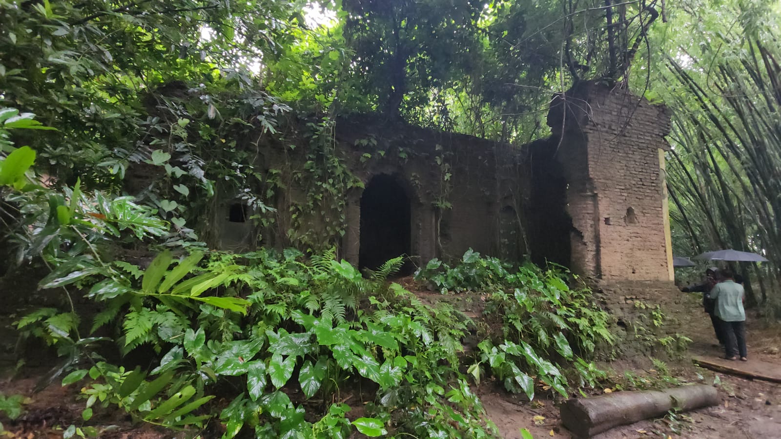 1000095556 1000095556