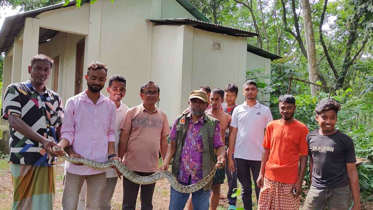 শেরপুরে আবারও বার্মিজ পাইথন উদ্ধার, বনে অবমুক্ত