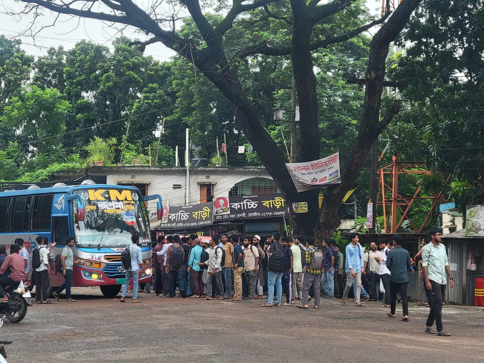 1000113585 1000113585