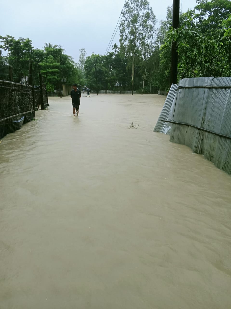 1000184146 1000184146