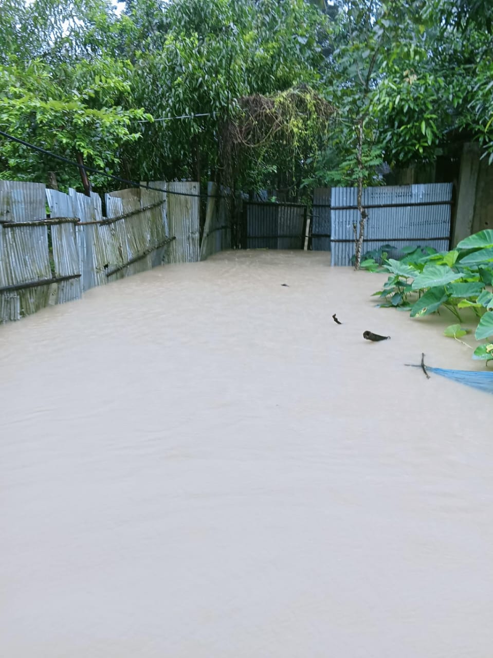 1000184150 1000184150