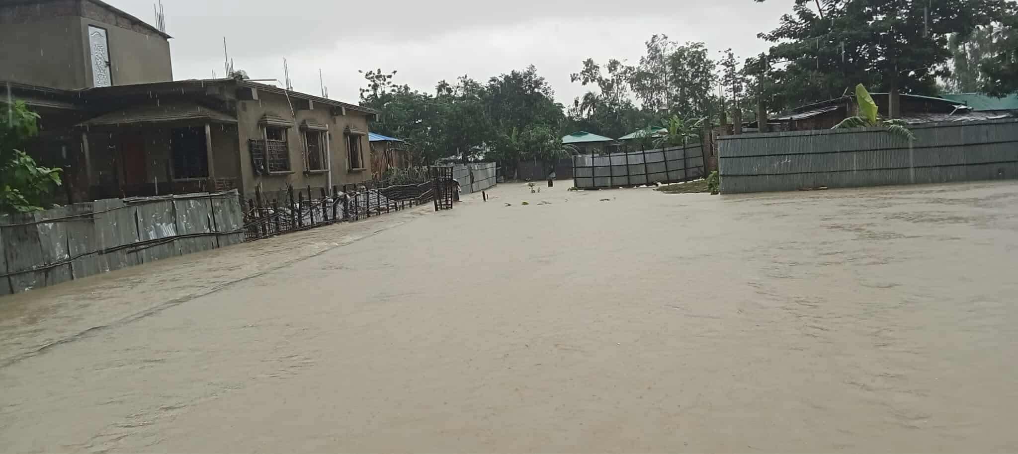 1000184166 1000184166