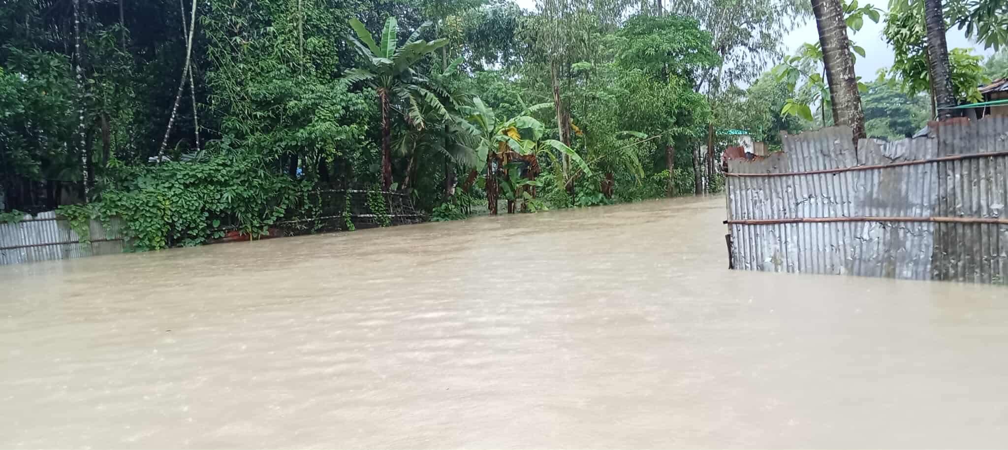 1000184180 1000184180