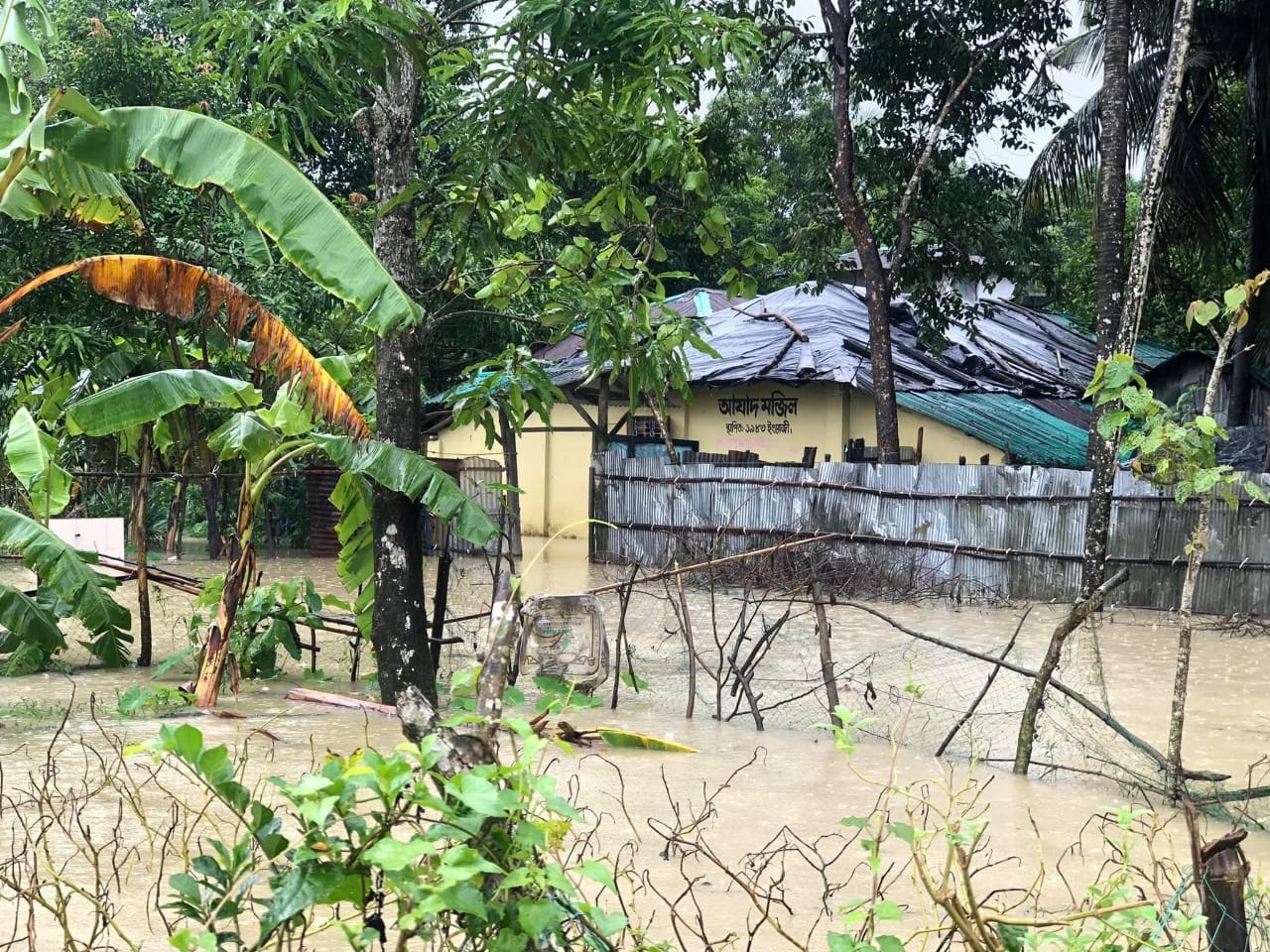 1000184182 1000184182