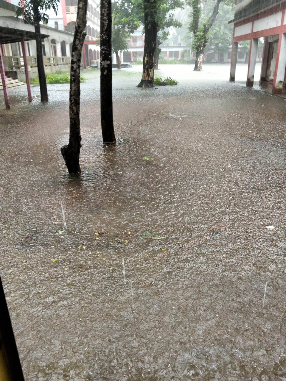 1000239011 1000239011