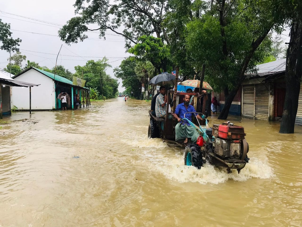 1000445990 1000445990