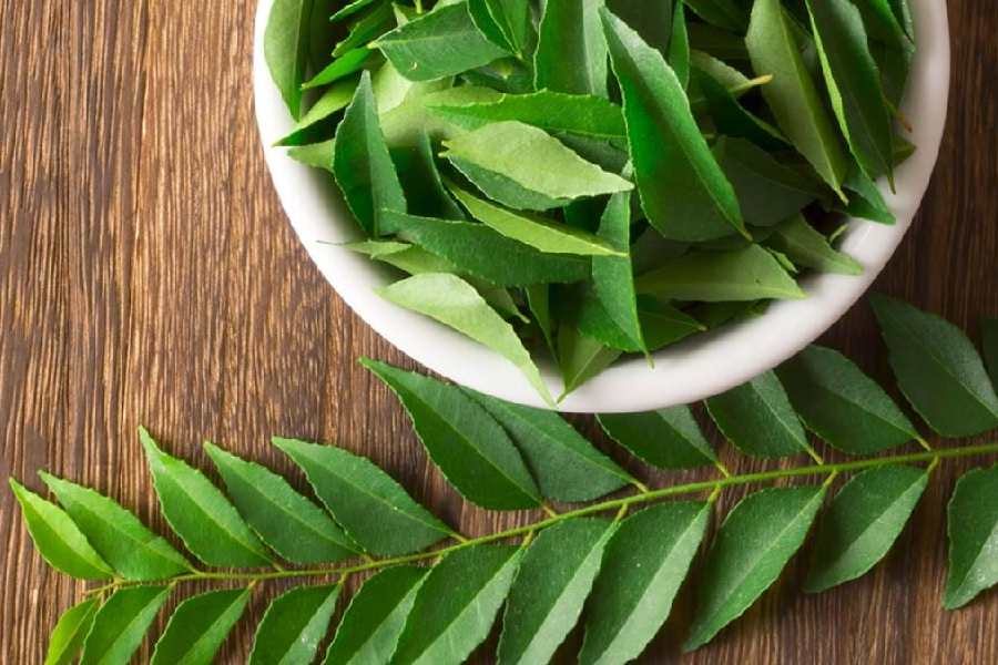 1684340981_new-project-2023-05-17t192906-369 1684340981_new-project-2023-05-17t192906-369