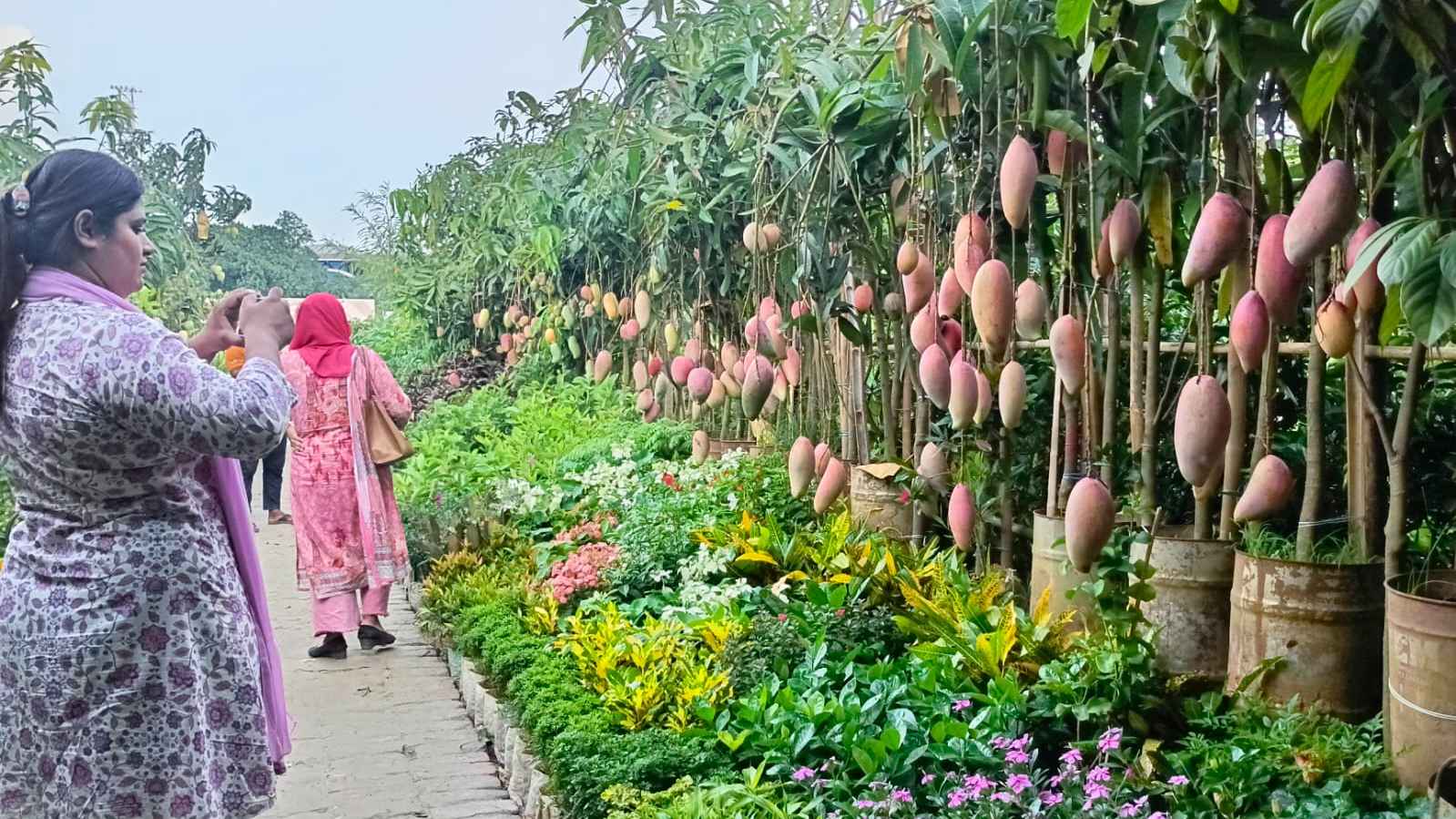 জাতীয় বৃক্ষমেলা ২০২৫