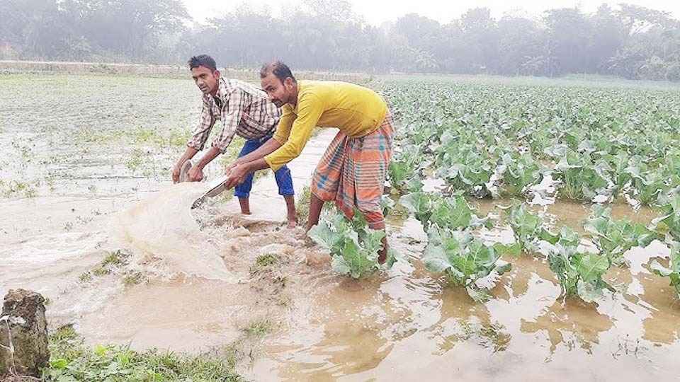 বৃষ্টির পানিতে ভাসছে যশোরে সবজি চাষিদের স্বপ্ন