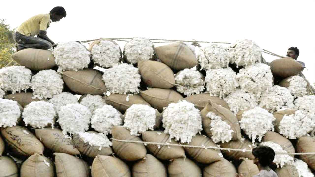 ‘ধর্মীয় পরিচয় নয়, অগ্রাধিকার পাবে গণতান্ত্রিক অধিকার প্রতিষ্ঠা’