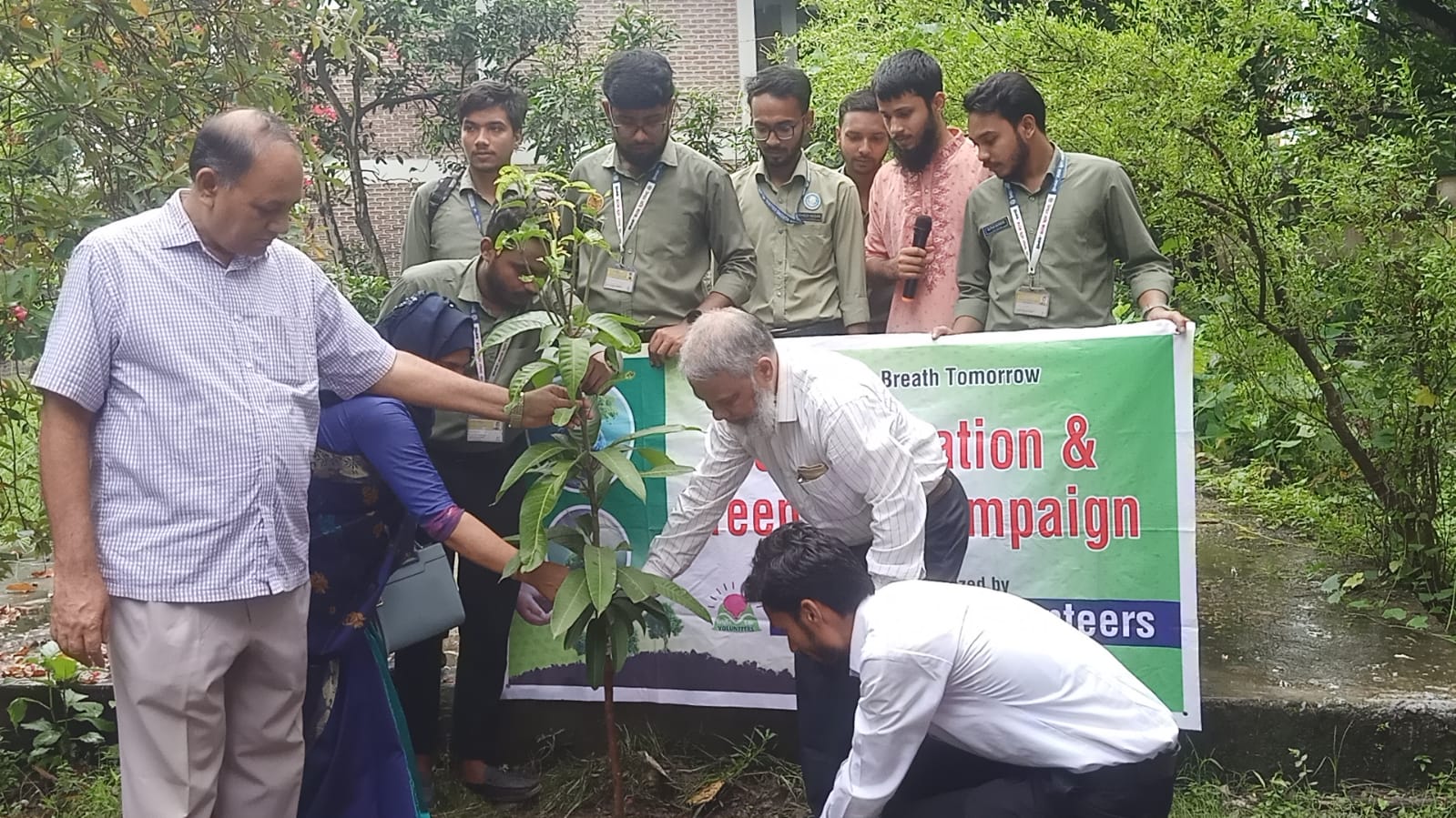 BLV_Tree_Plant BLV_Tree_Plant