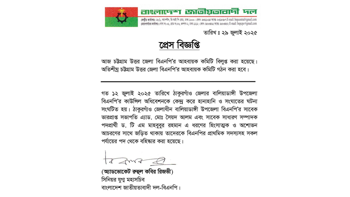BNP4
