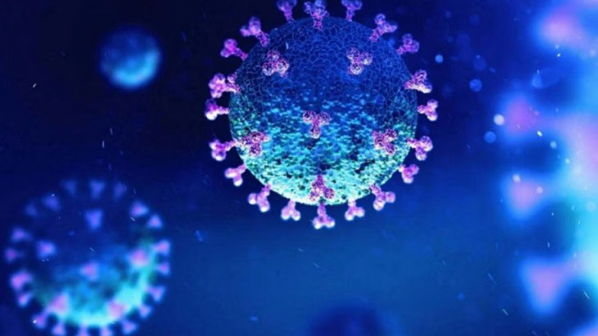 করোনায় আরও একজনের মৃত্যু