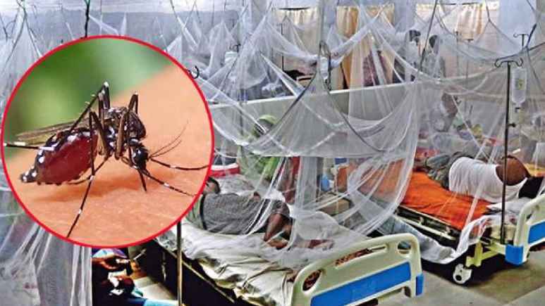 বরগুনায় ডেঙ্গু আক্রান্ত হয়ে শিক্ষিকার মৃত্যু