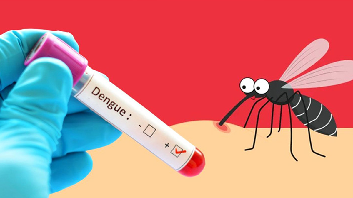 ২৪ ঘণ্টায় ডেঙ্গু আক্রান্তে রেকর্ড, মৃত্যু ৩
