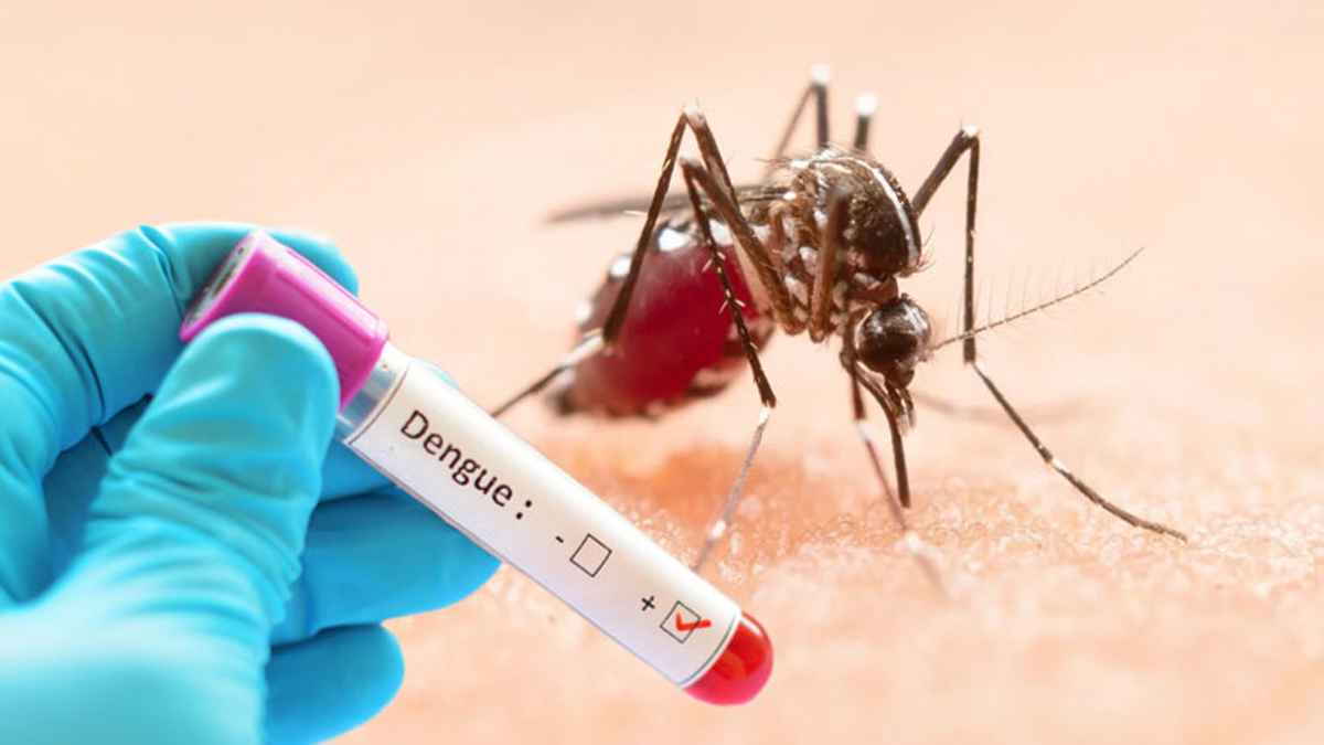 একদিনে ডেঙ্গুতে মৃত্যু ২, হাসপাতালে ভর্তি ৩৩৭ রোগী