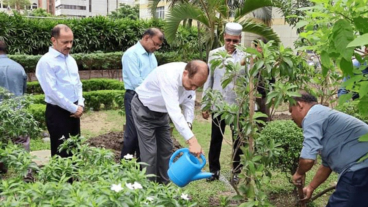 আউয়াল কমিশনের রোপণ করা গাছের নেমপ্লেট সরাল ইসি